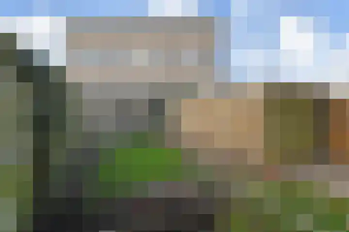 Troelstrakade 447 Den Haag thumbnail 11
