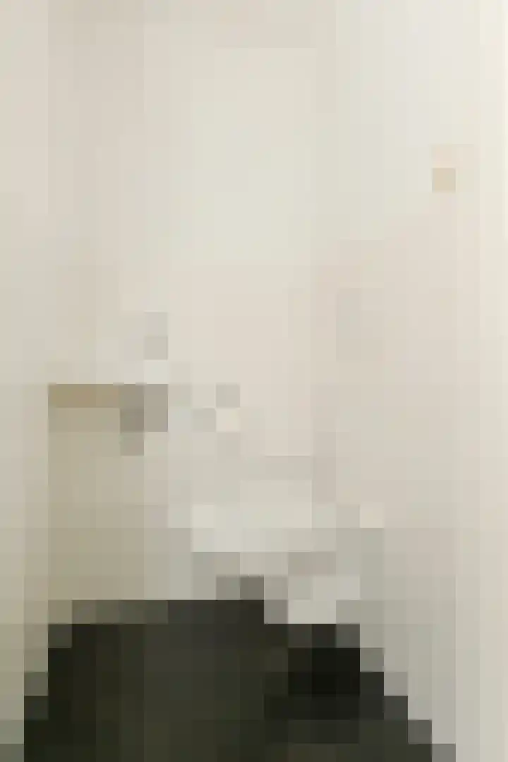 Troelstrakade 447 Den Haag thumbnail 23