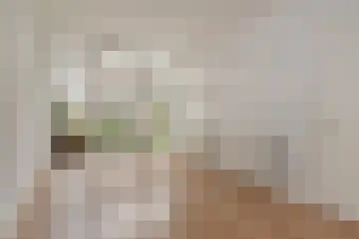 Troelstrakade 447 Den Haag thumbnail 5