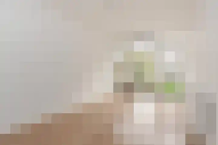 Troelstrakade 447 Den Haag thumbnail 6