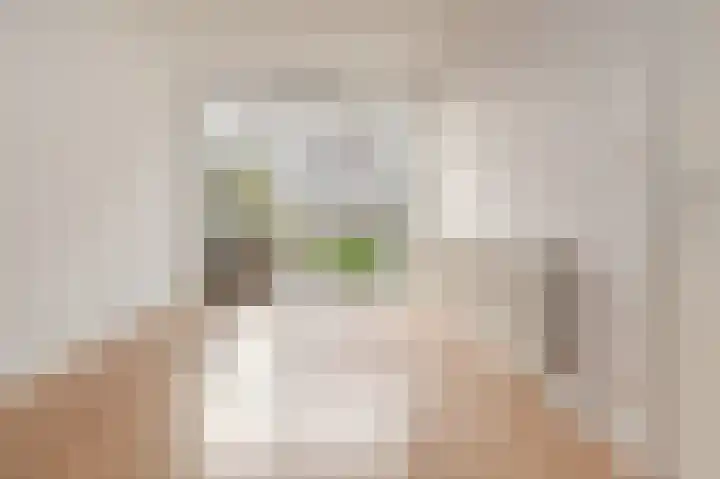 Troelstrakade 447 Den Haag thumbnail 8
