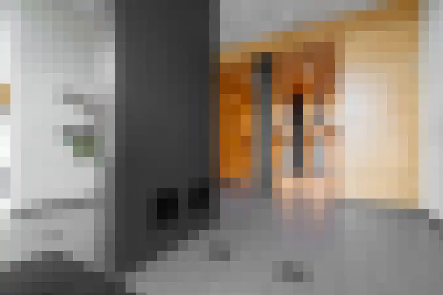 Troelstrakade 63 Den Haag thumbnail 39