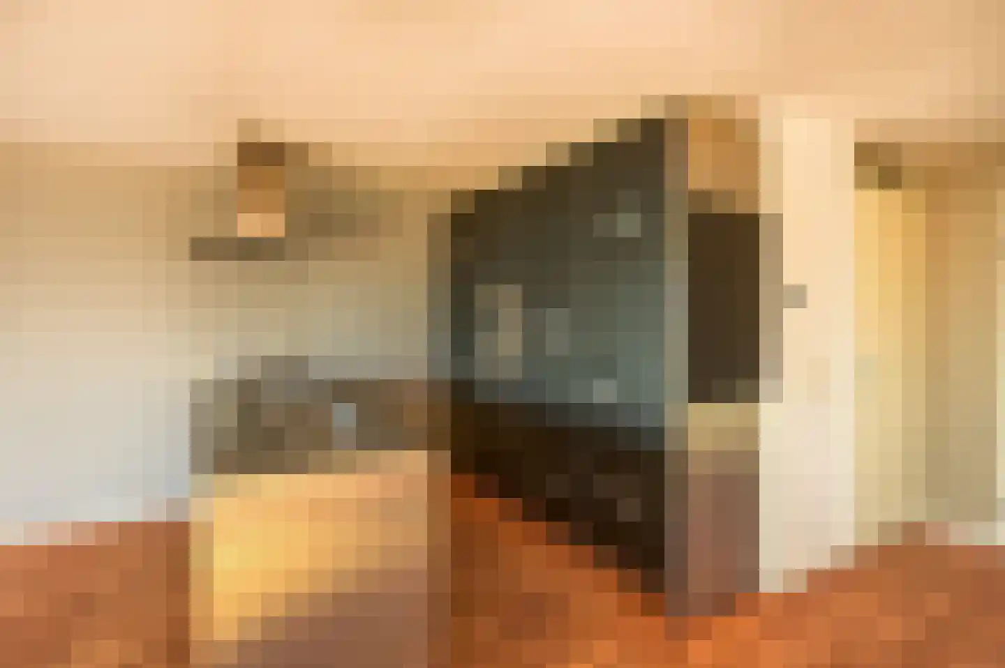 Troelstrakade 67 A Den Haag thumbnail 9