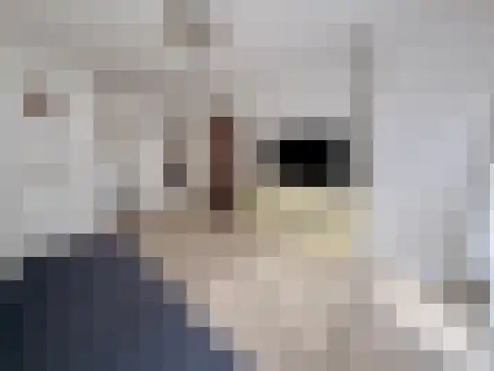 Troelstrakade 769 Den Haag thumbnail 10