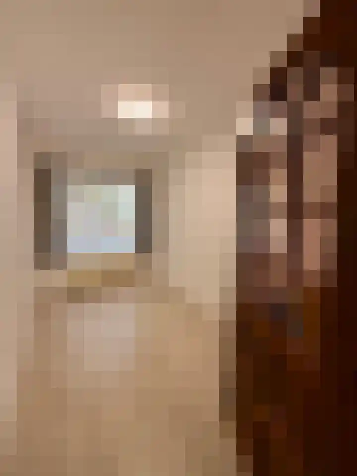 Troelstrakade 769 Den Haag thumbnail 11