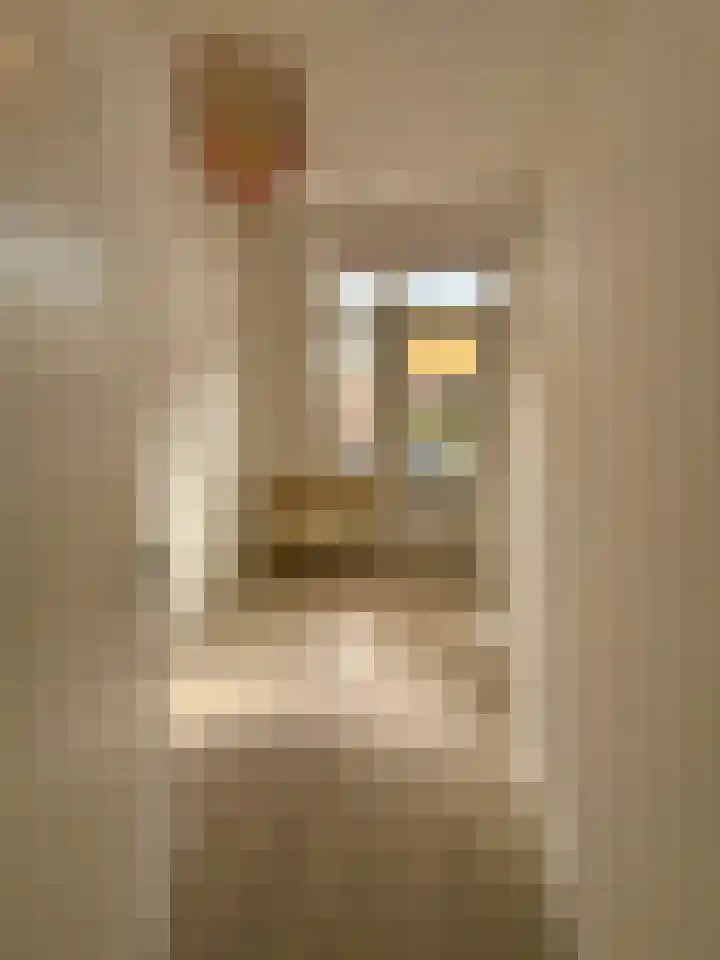 Troelstrakade 769 Den Haag thumbnail 12