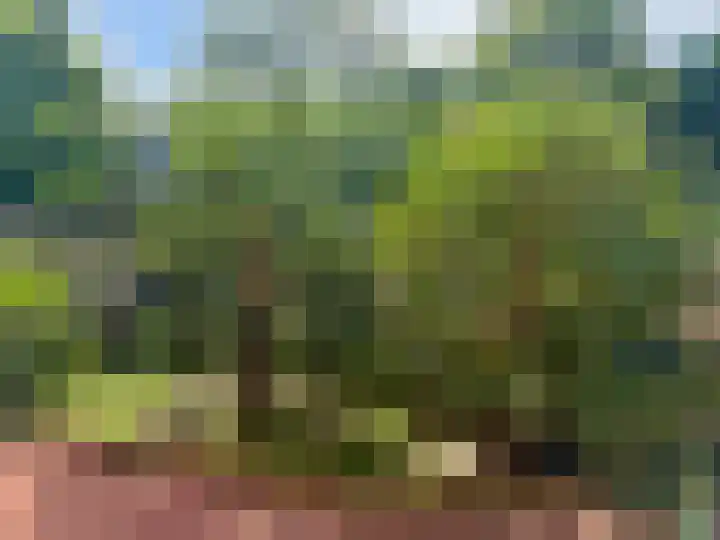 Troelstrakade 769 Den Haag thumbnail 19