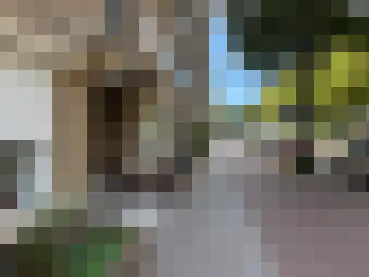 Troelstrakade 769 Den Haag thumbnail 20