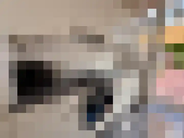 Troelstrakade 769 Den Haag thumbnail 4