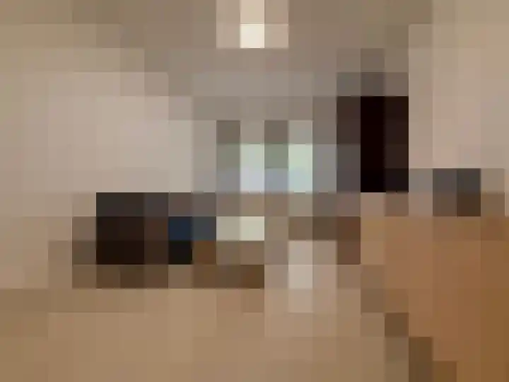 Troelstrakade 769 Den Haag thumbnail 6