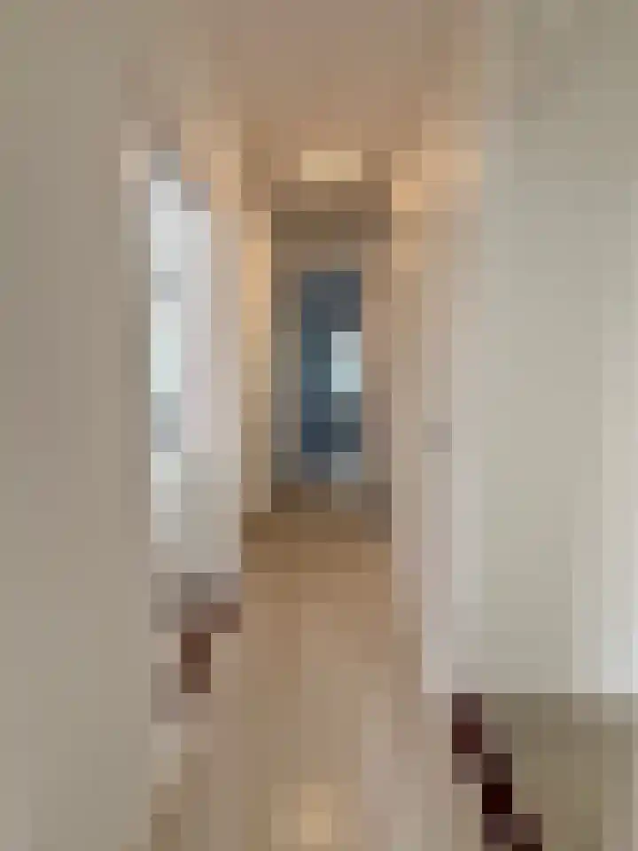 Troelstrakade 769 Den Haag thumbnail 8