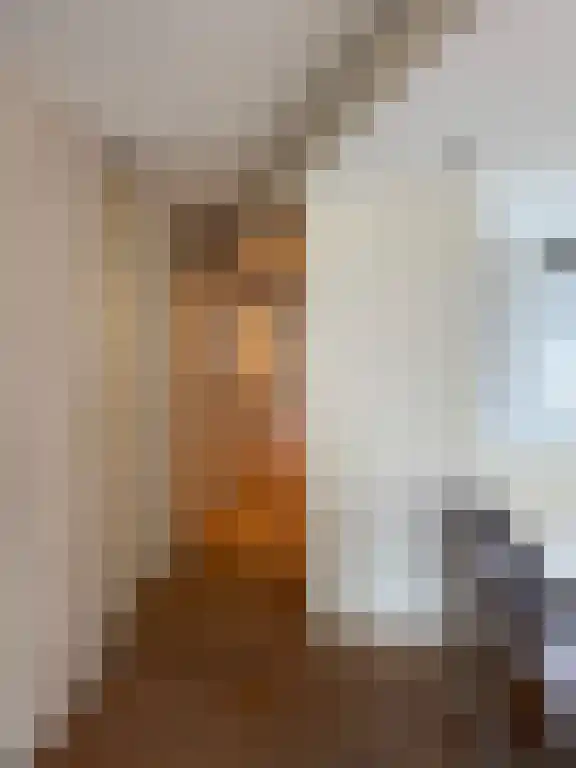 Troelstrakade 809 Den Haag thumbnail 6