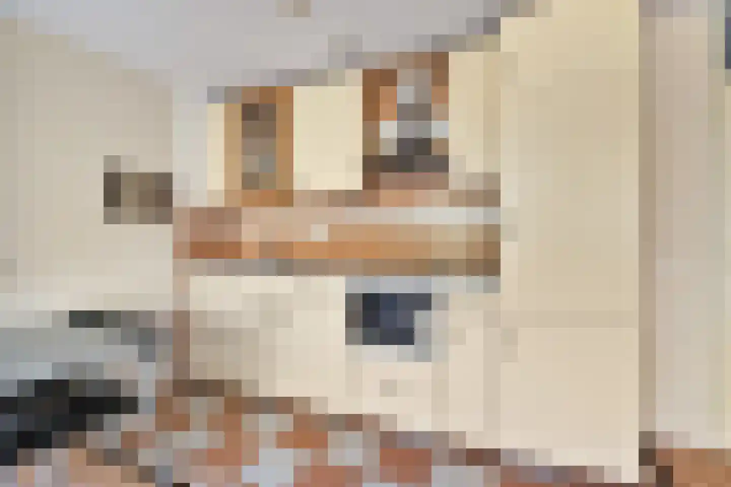 Troelstrakade 825 Den Haag thumbnail 15