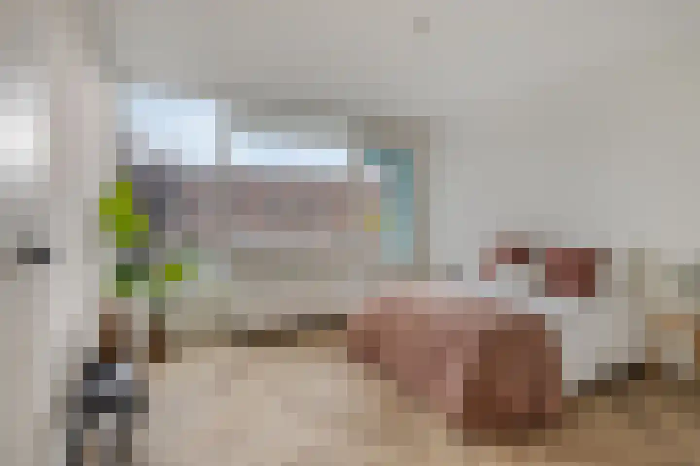 Troelstrakade 915 Den Haag thumbnail 11