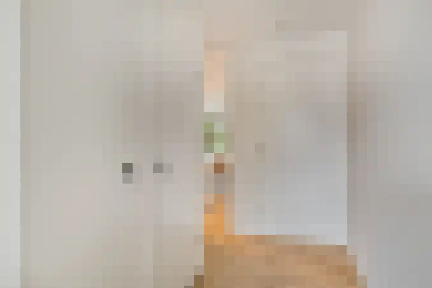 Troelstrakade 915 Den Haag thumbnail 8
