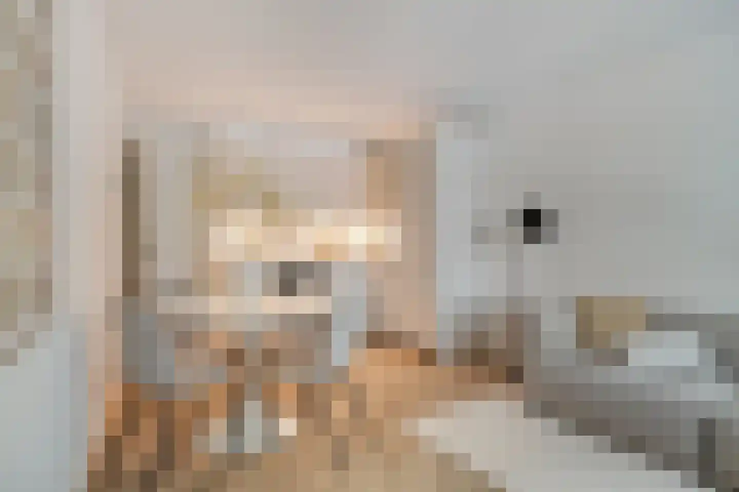 Troelstrakade 915 Den Haag thumbnail 9