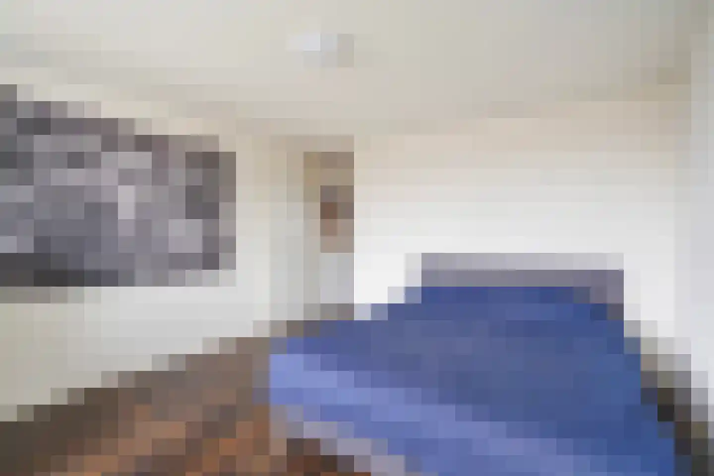 Troelstrakade 935 Den Haag thumbnail 12