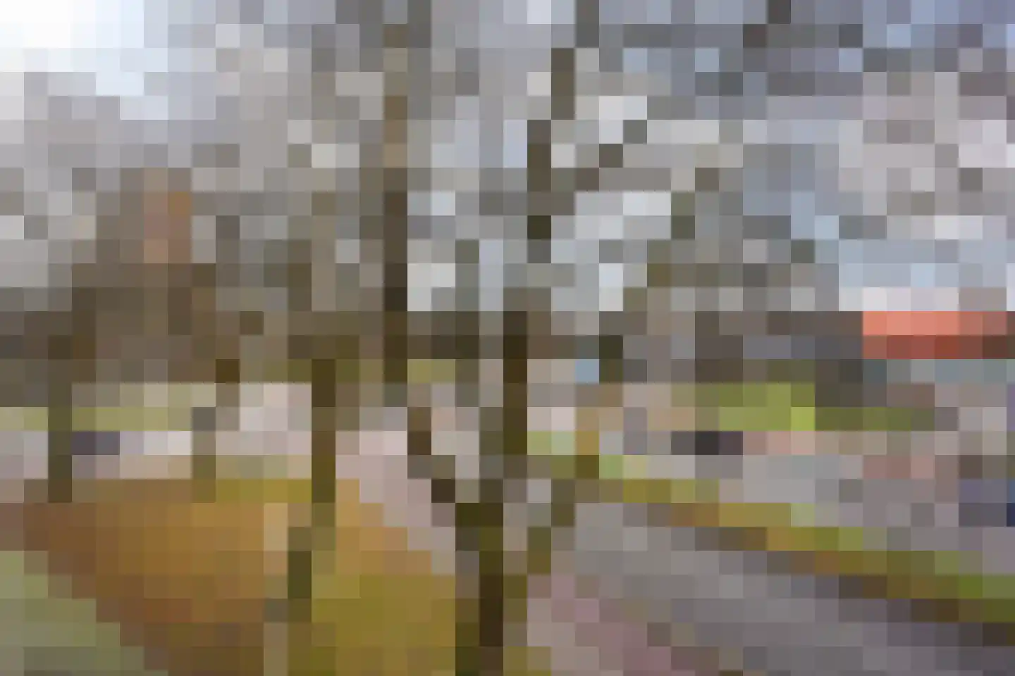 Troelstrakade 935 Den Haag thumbnail 7