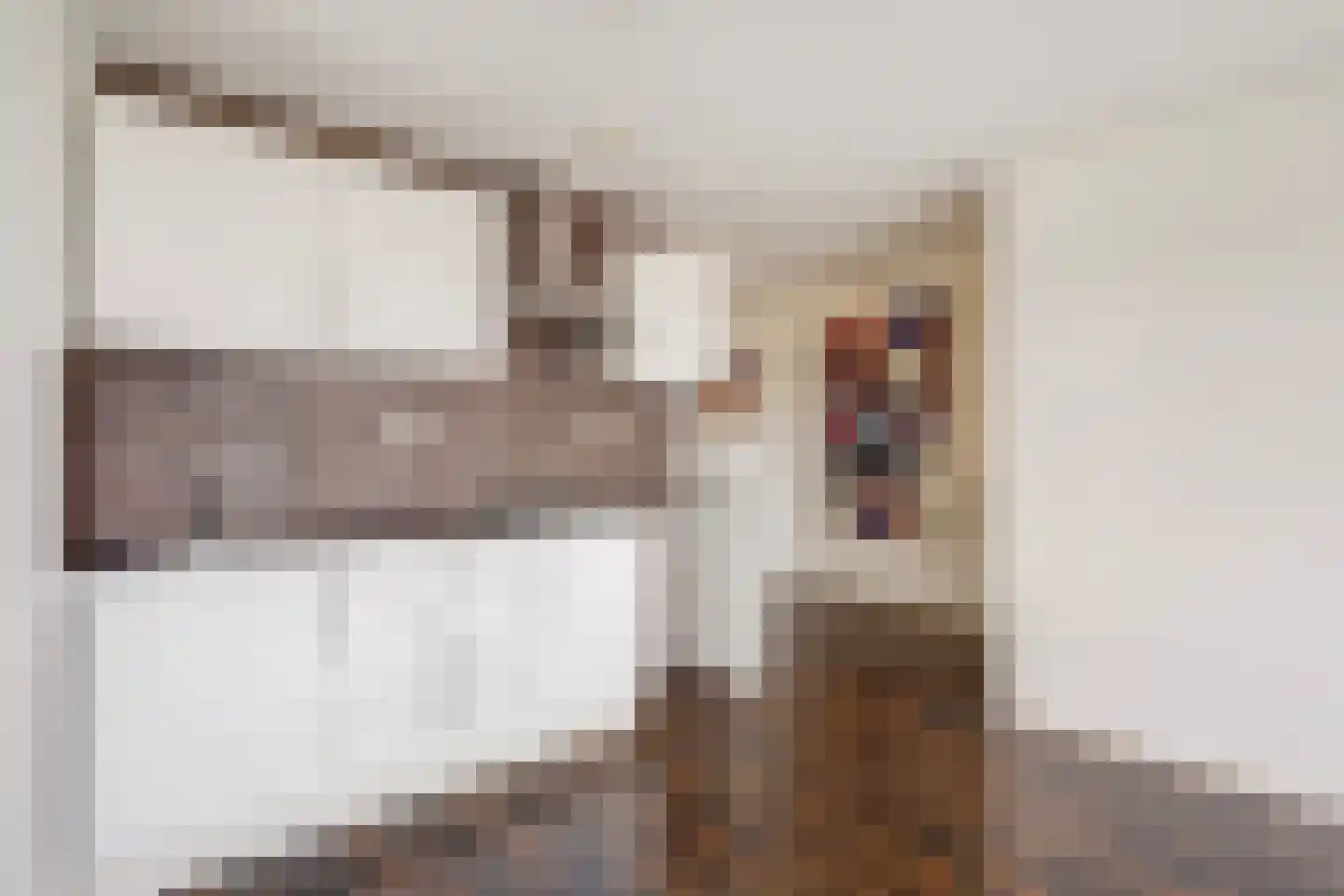 Troelstrakade 935 Den Haag thumbnail 9