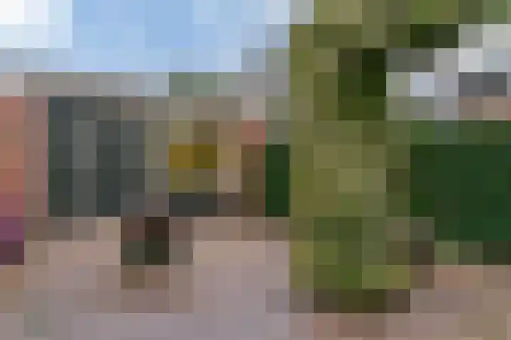 Troelstralaan 101 Zwanenburg thumbnail 18