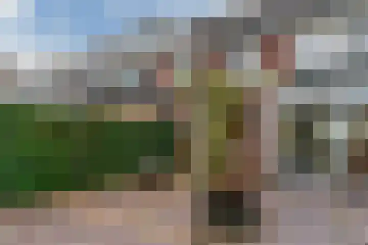 Troelstralaan 101 Zwanenburg thumbnail 20