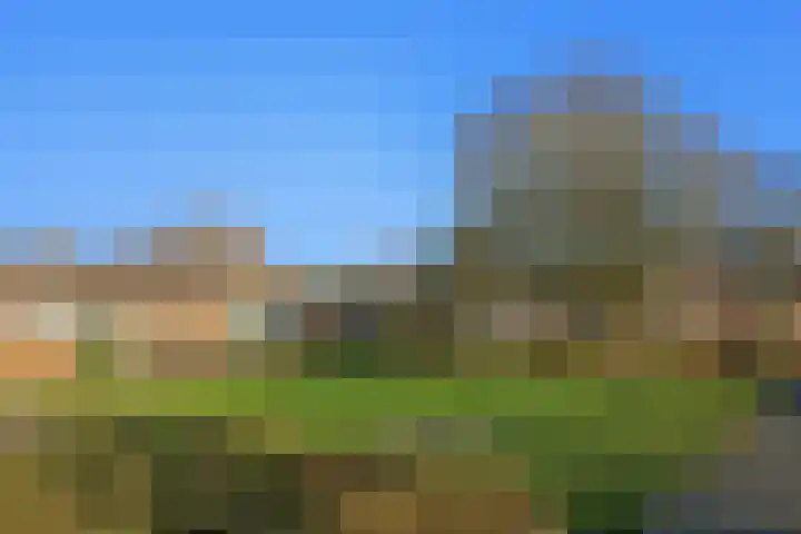 Troelstralaan 101 Zwanenburg thumbnail 4