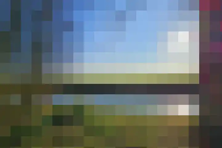 Troelstralaan 101 Zwanenburg thumbnail 43