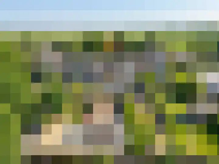 Troelstralaan 101 Zwanenburg thumbnail 44