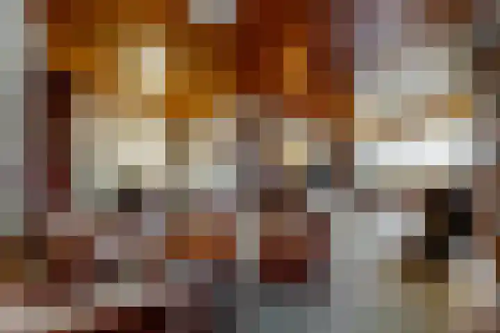 Troelstralaan 101 Zwanenburg thumbnail 8