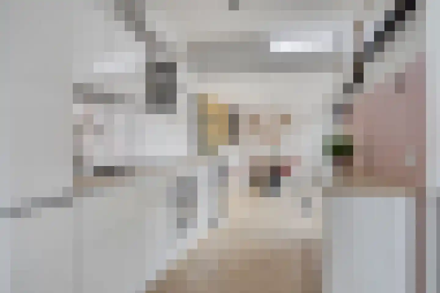 Troelstralaan 11 Muntendam thumbnail 17