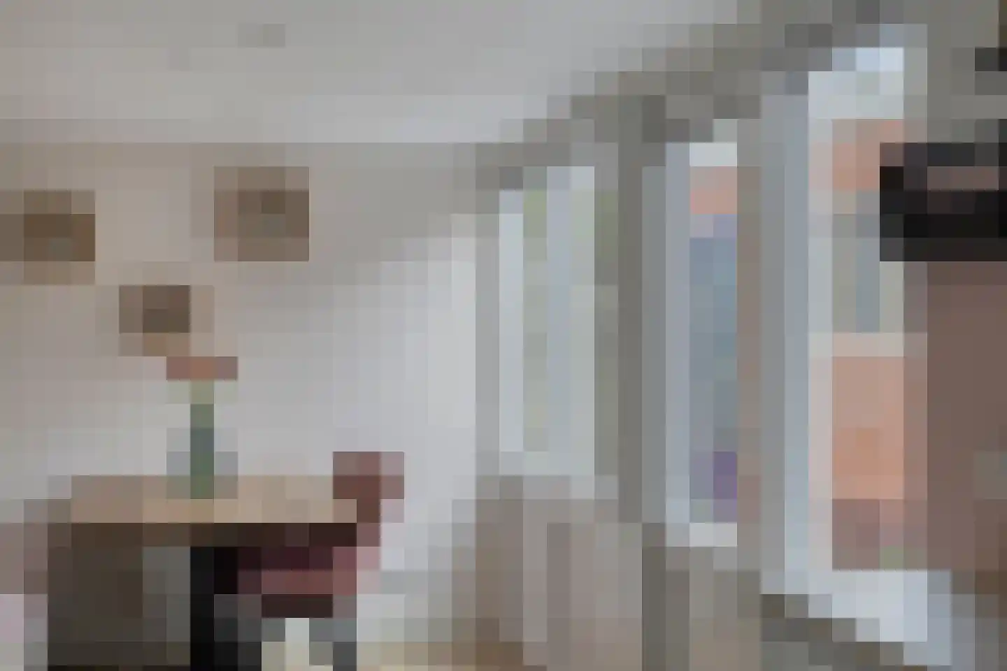 Troelstralaan 11 Muntendam thumbnail 25