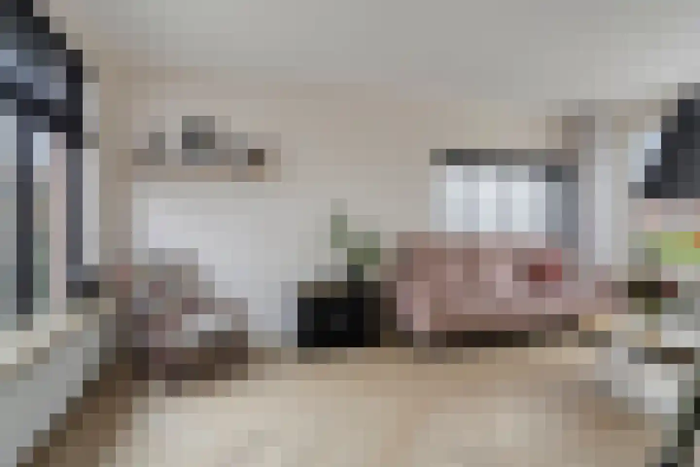 Troelstralaan 11 Muntendam thumbnail 9