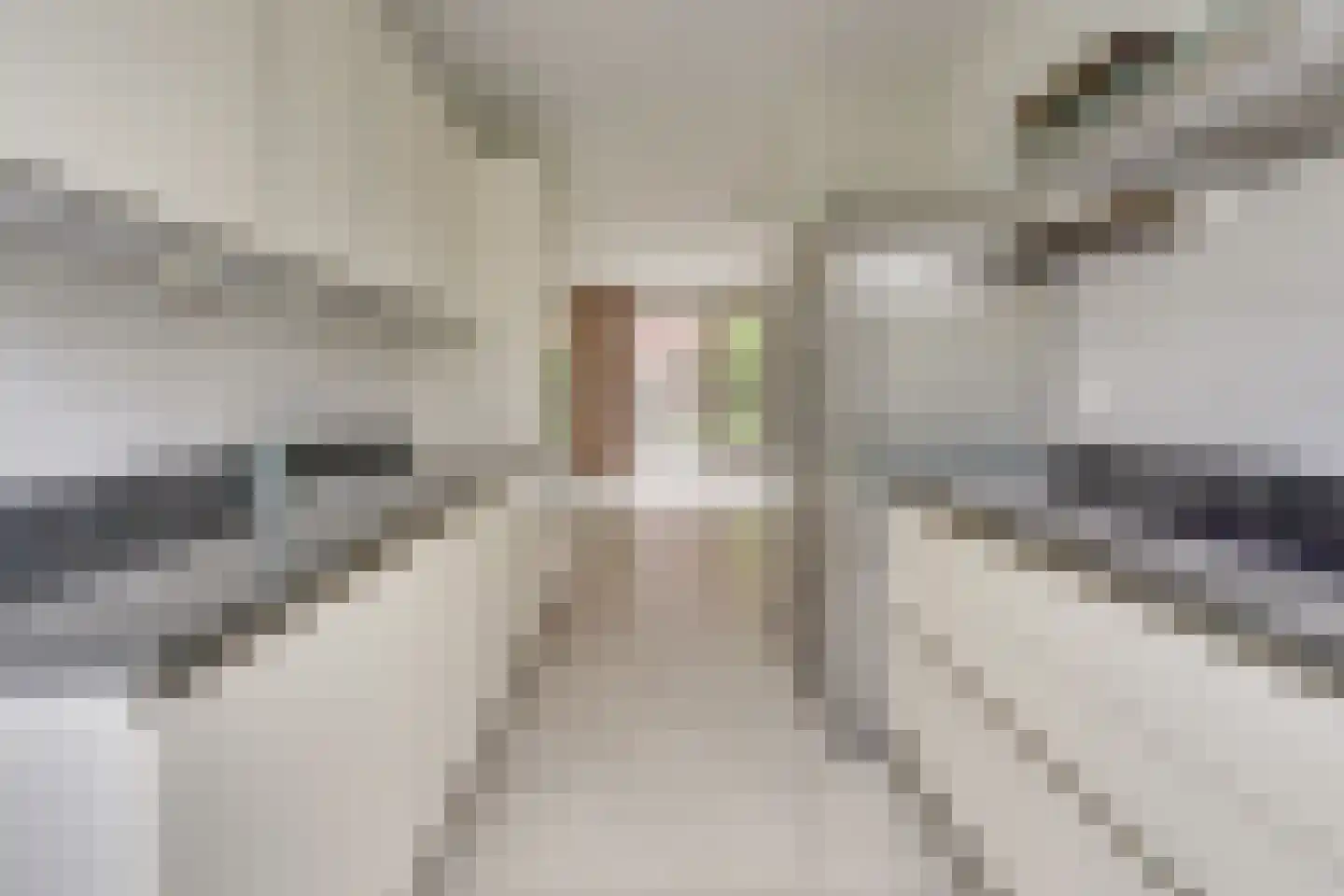 Troelstralaan 128 Utrecht thumbnail 12