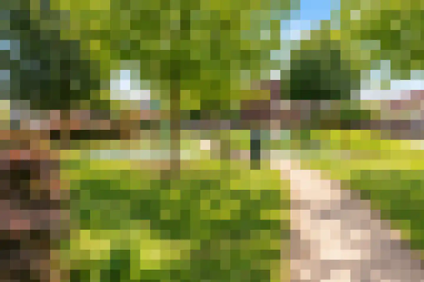 Troelstralaan 128 Utrecht thumbnail 38