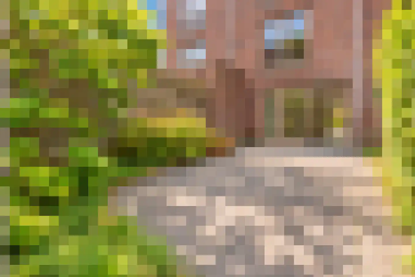 Troelstralaan 128 Utrecht thumbnail 5