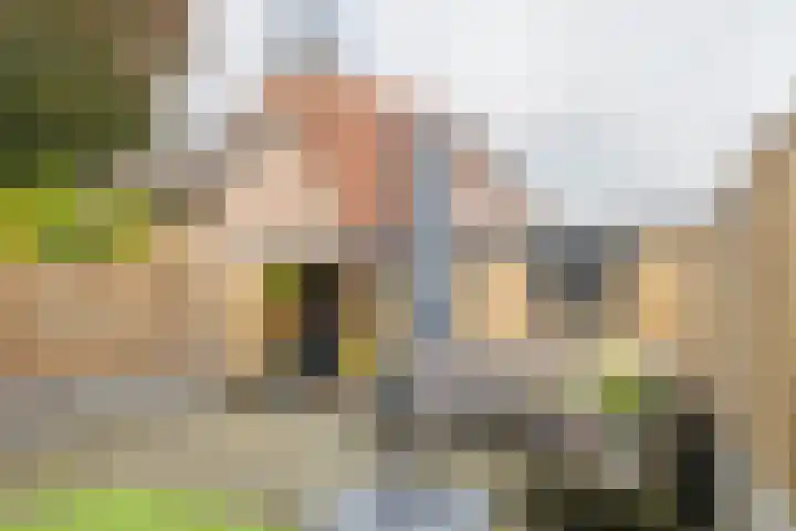 Troelstralaan 13 Hillegom thumbnail 14
