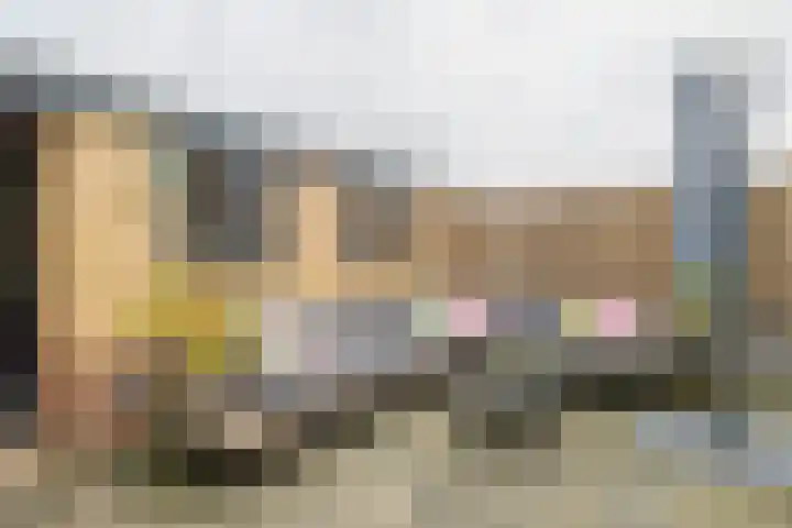 Troelstralaan 13 Hillegom thumbnail 15