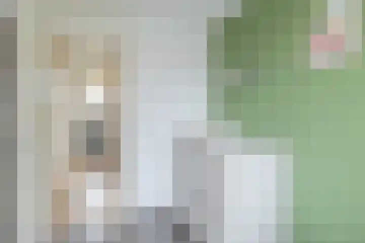 Troelstralaan 13 Hillegom thumbnail 23