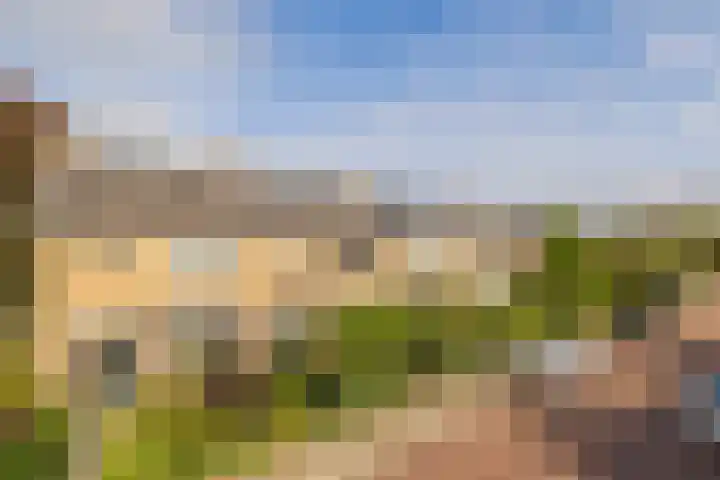 Troelstralaan 13 Hillegom thumbnail 41