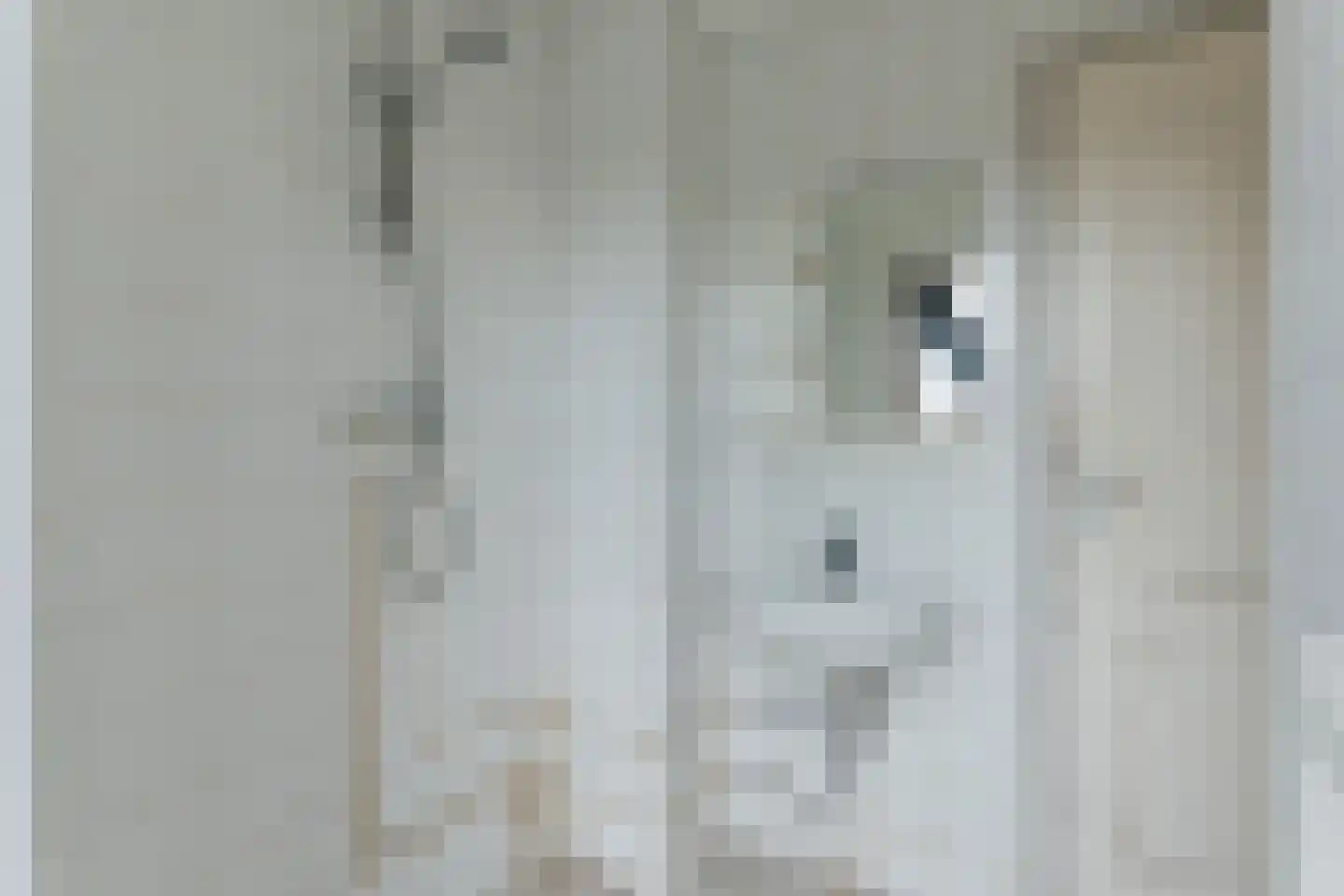 Troelstralaan 13 Muntendam thumbnail 21