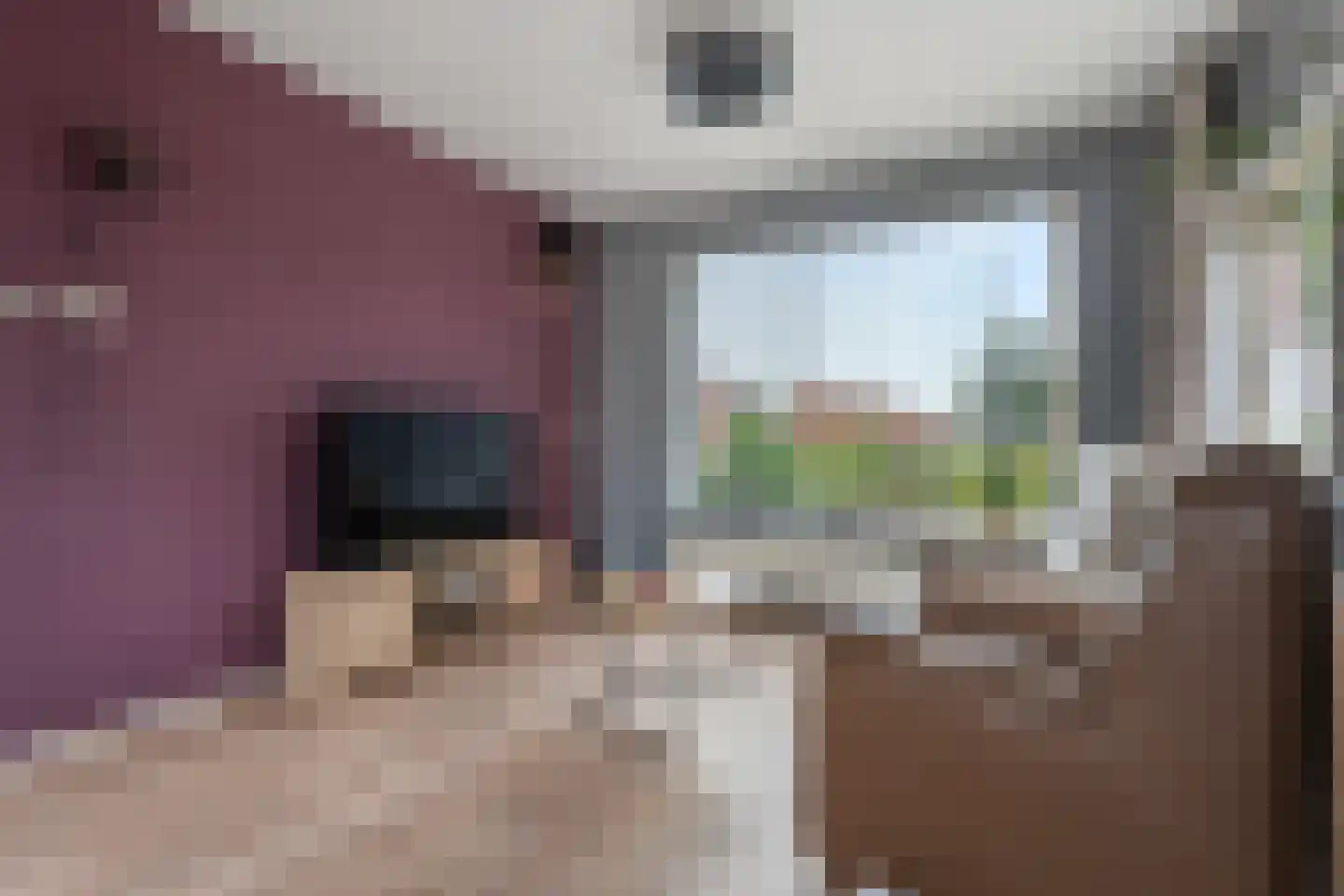 Troelstralaan 13 Muntendam thumbnail 8