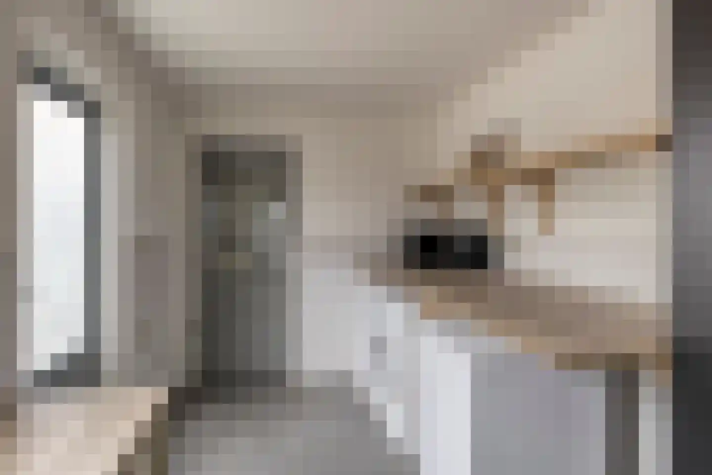 Troelstralaan 15 Muntendam thumbnail 18