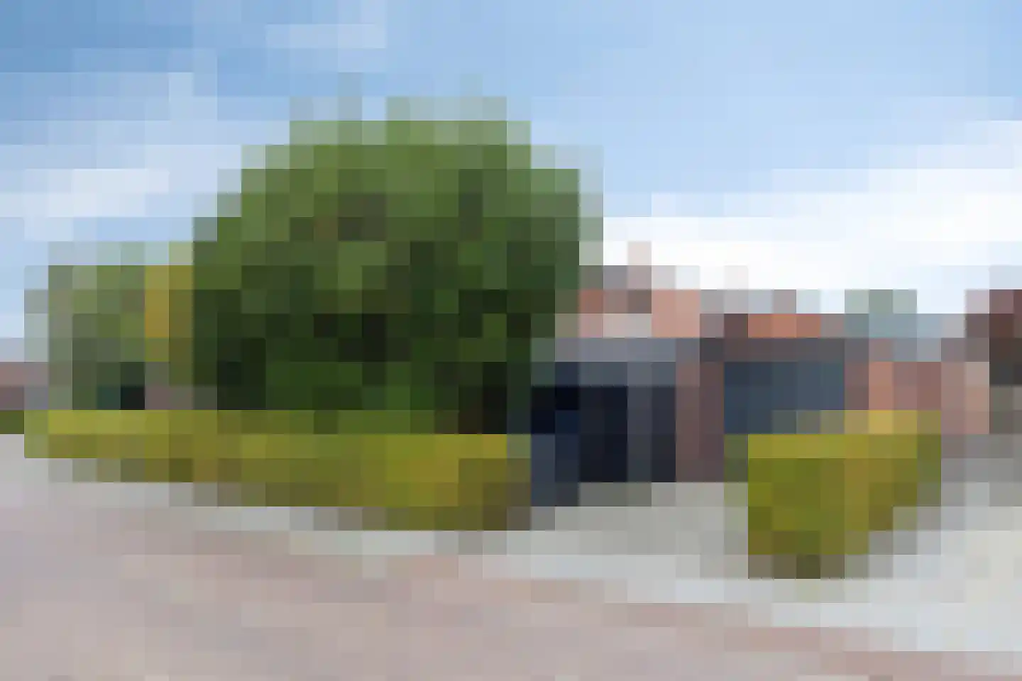Troelstralaan 15 Muntendam thumbnail 30