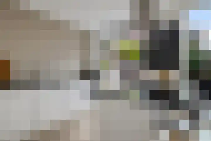 Troelstralaan 18 Hillegom thumbnail 10
