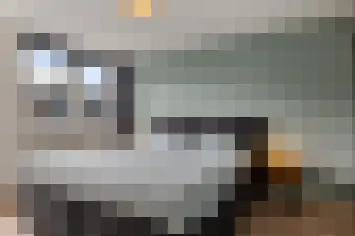 Troelstralaan 18 Hillegom thumbnail 19
