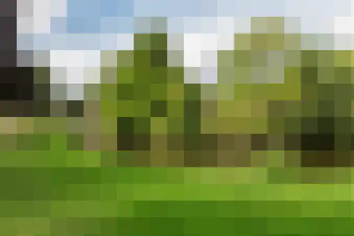 Troelstralaan 18 Hillegom thumbnail 32
