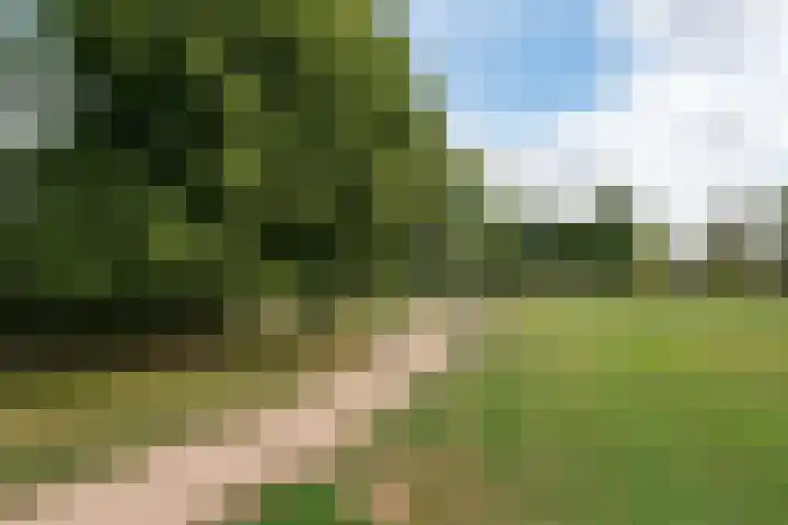 Troelstralaan 18 Hillegom thumbnail 33