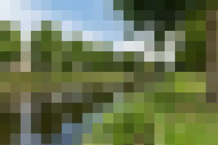 Troelstralaan 18 Hillegom thumbnail 34