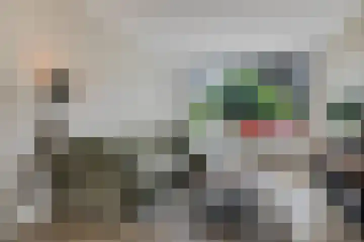 Troelstralaan 18 Hillegom thumbnail 5