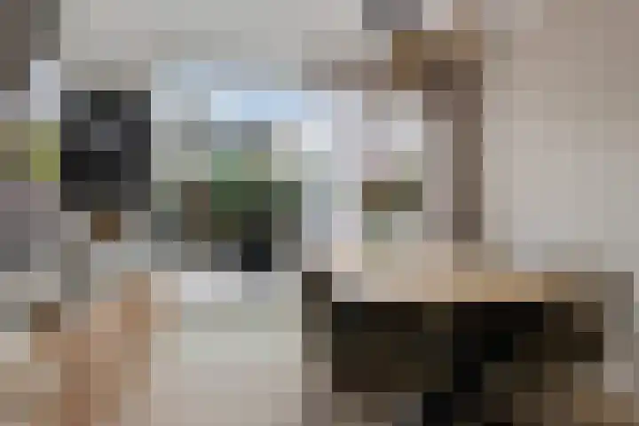 Troelstralaan 18 Hillegom thumbnail 7